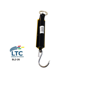 Scale 100kilo BL2-26