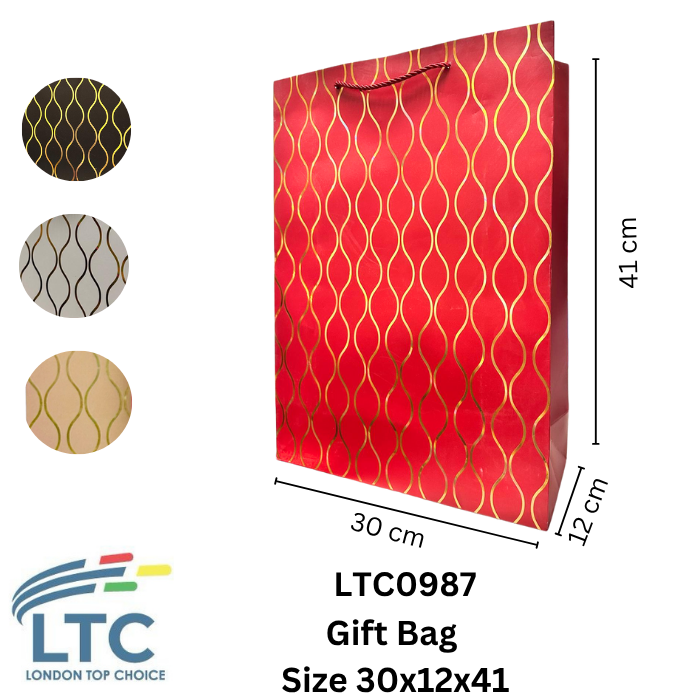 Gift bag  30x12x41 LTC0987