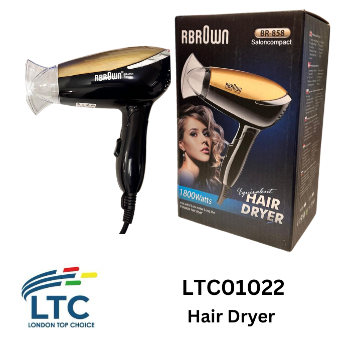 Hair Dryer LTC01022