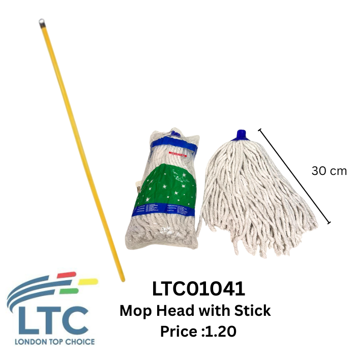 Mop Head with Stick LTC01041
