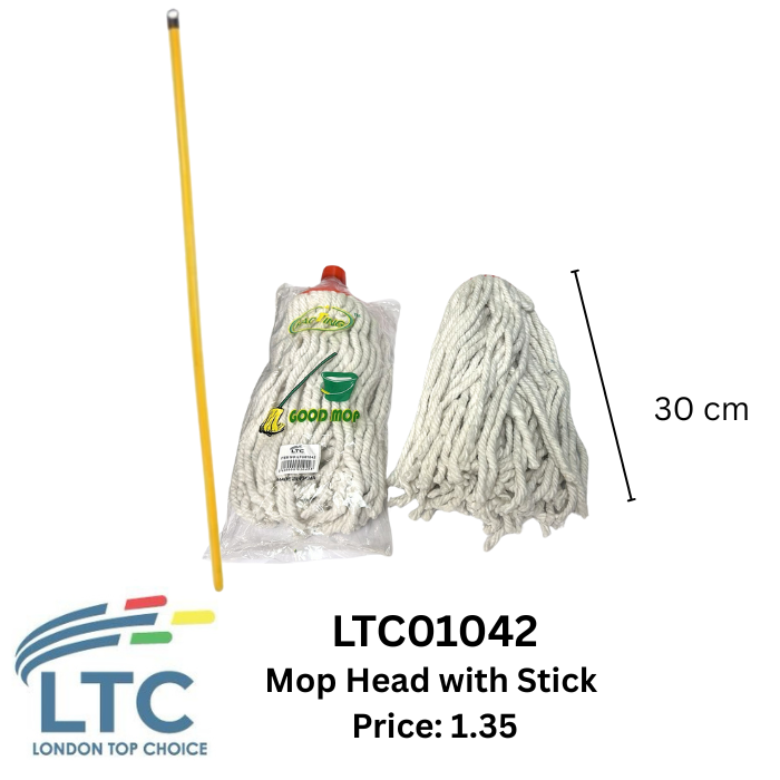 Mop Head with Stick LTC01042