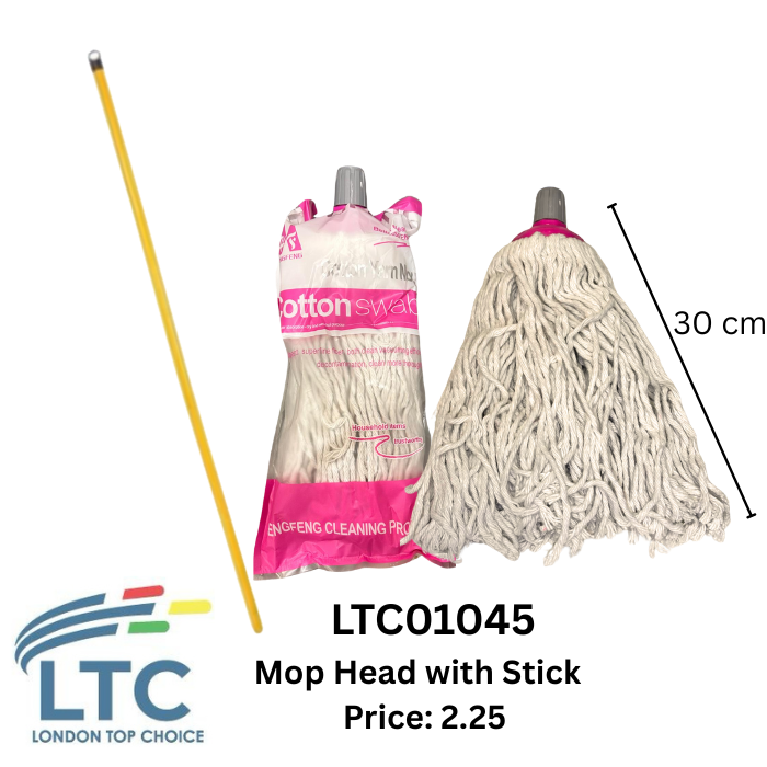 Mop Head with Stick LTC01045